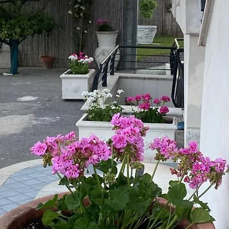Gryllus 3* Pompéi