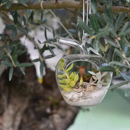 Gryllus Bed & Breakfast 3*