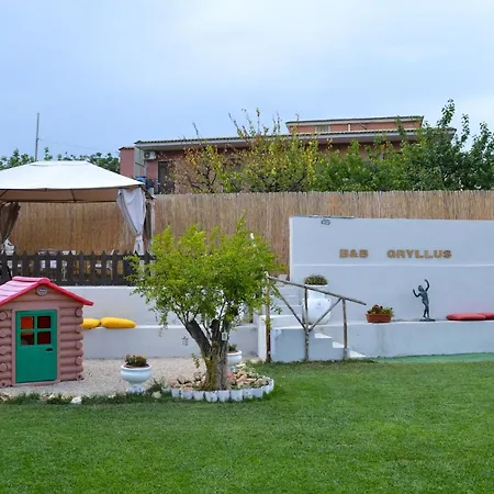 Bed & Breakfast Gryllus