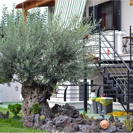 Bed & Breakfast Gryllus *